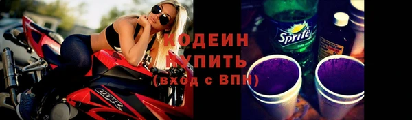 хмурый Покров