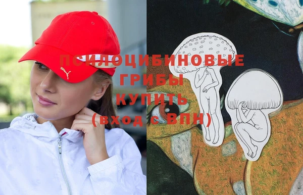 гидра Баксан