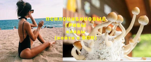 хмурый Покров