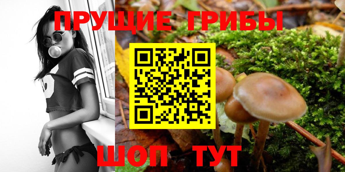 Галлюциногенные грибы мицелий Семилуки
